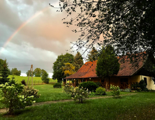  | www.airbnb.nl/rooms/49748734
